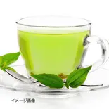 緑茶(PET)500ml Green tea (bottle)（芋や。むかい 新深江店）
