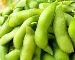 枝豆 Edamame（インド・ネパール・アジアンダイニンググラス）