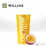 パッションフルーツティー(满杯百香果)（WILLcha 神戸元町店）