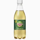 カナダドライ ジンジャーエール 500ml CanadaDry500PET（ザイカZAIKA東武練馬店）