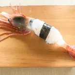 北海道産生ぼたんえび特大1コ（やまと寿司）