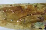 イカ焼き ねぎ（粉もん いかたこ倶楽部 おかん時々やかん）