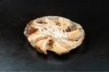 ギョーザ 8個（お好み工房 ふじわら）
