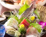 本日の鮮魚のお造り5種盛り合わせ（個室居酒屋 馬に魚に 赤坂見附店）