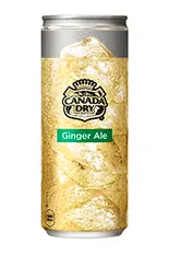 ジンジャーエール250ml（Di VERDE 八幡店）