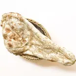 ゴマナン Goma naa（インドネパールレストラン・ニムタ 南与野店）