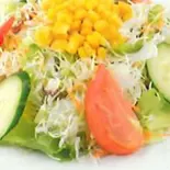 グリーンサラダ/Green Salad(インド料理 QUEEN GARDEN)