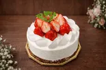 苺ちゃん 5号(Sweetsbox Trepo)
