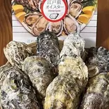 お任せ生牡蠣8個盛り(牡蠣酒場すずきんち)