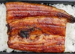 うな重「一匹」(うなぎと日本料理 今助)