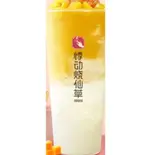 ヨンジーガムロウ(楊枝甘露)L（Jidong焼仙草）