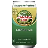 ジンジャーエール 진저에일 350ml（ミチンゴギ）