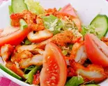 カナパニスペシャルサラダ/Khanapani Special Salad(インドネパール料理カナパニ吉野町店)