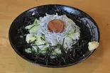 キャベツとしらすのせ吉田のうどん(温) Yoshida Udon Noodles with Cabbage ＆ Whitebait (Hot)（自家製麺 うどん 五葵(ITSUKI)）