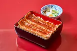 うなぎ弁当二本いかだ さつき※土曜日限定（うなぎ割烹大江戸）