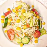 グリーンサラダ Green Salad（インドネパールレストランディルクス）