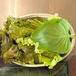 グリーンサラダ Green Salad（Green Leaf Indian Nepali Restaurant）