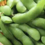 枝豆(Edamame)（Satkar）