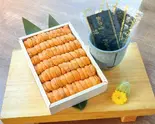 贅の尽くし 箱ウニ（すしざむらい 歌舞伎町輝ビル総本店）