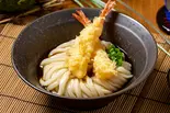 海老天ぶっかけうどん Cold udon with shrimp tempura（山下本気うどん 大宮東口）