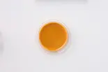メキシカンランチドレッシング(カップ)（フリホーレスブリトー＆サラダ 麻布十番）