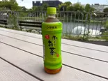 お〜いお茶（もりたこ）