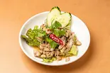 13.ラープガイ（THAITOY）