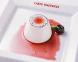 Panna Cotta With Dark Cherry Sauce パンナコッタ ダークチェリーソース添え（CAFFE PASCUCCI 三宮店）