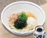 【冷やし】おろしぶっかけうどん（うどんウエスト吉塚駅前店）