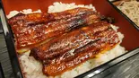うな重弁当・並(半身)（驚 KYO）
