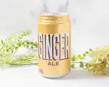 ジンジャーエール(250ml) Ginger Ale 250 ml（Delicious Kebab）