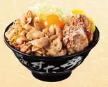 唐揚げ合盛りすた丼（伝説のすた丼屋 福岡天神店）