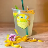 れもねーど(炭酸)（膳LABOひっせい ZENLABOHISSEI）