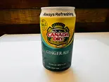 ジンジャーエール(350ML)（エカマイ屋台）