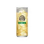 ジンジャーエール Ginger Ale 250ml（kebab chef）