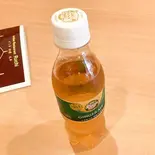 ジンジャーエール GINGER ALE 350 ml（インド料理ルチ赤塚店）