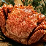 毛ガニ1杯（北海道料理 浜っ子 読売北海道ビル店）