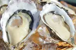 全国牡蠣ー1グランプリ2025 生牡蠣部門特別賞受賞‼生牡蠣2個⭐︎産地直送!千葉県江戸前オイスター【都内のオイスターバーで大人気】(牡蠣酒場すずきんち)