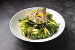 ケールのサラダ / Kale Salad - Vegan(Salam/サラーム)