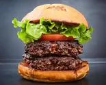 ダブルハンバーガー Double Hamburger（SHOGUN BURGER TOKYU KABUKICHO TOWER）
