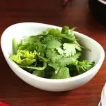 ⑧パクチー Cilantro(雲林坊 秋葉原店)