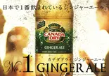 カナダドライジンジャーエール(500ml)（牛ハラミステーキ＆ローストビーフ専門店 luxury bar ＆ cafe milas ミラス渋谷店）