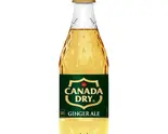 ジンジャーエールペットボトル500ml(炭火焼MARU)