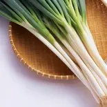 鳥取県産 炭火焼白ネギ（串まる）