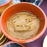 最高級超熟品 500g（まさきや）