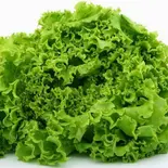 追加で2倍シャキシャキレタスでサラダ風に！ Extra Lettuce Leaf（とろ〜り温玉とフレッシュ野菜のタコライス 新川崎鹿島田店）