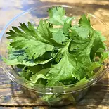 パクチー(Coriander, Cilantro)（サロンゴ・カフェ）