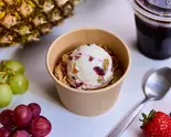 【単品グリークヨーグルト】セレクションフルーツミックス（【アサイー＆グリークヨーグルト】.BOWLS(ドットボウルズ)）