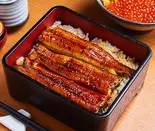 うな重 並（うなぎ御食事処 九寅）
