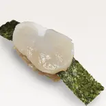 たいら貝（すしのみさきや 横浜スカイビル店）